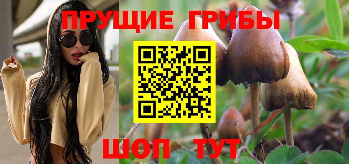 Псилоцибиновые грибы Psilocybine cubensis  Вход с VPN  Йошкар-Ола 
